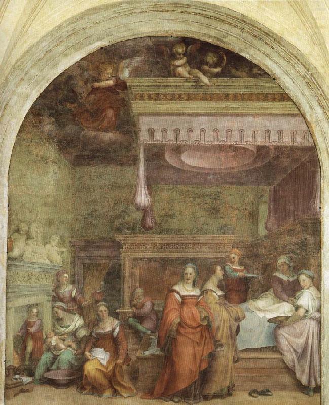 Andrea del Sarto Birth of the Virgin china oil painting image